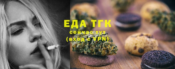 мдпв Инта