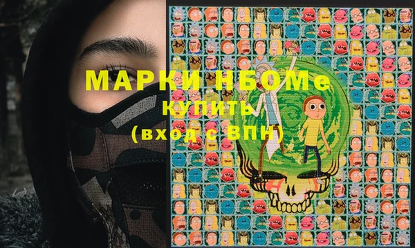 мдпв Инта