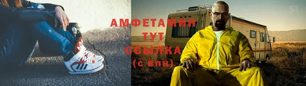 мдпв Инта