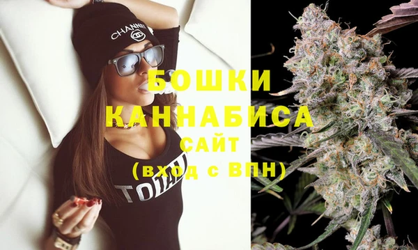 мдпв Инта