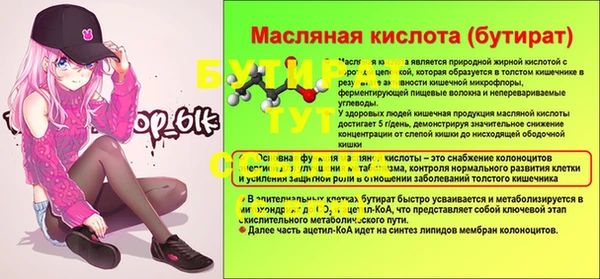 мдпв Инта