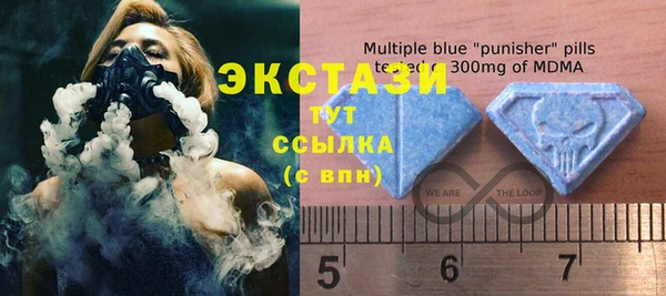 мдпв Инта
