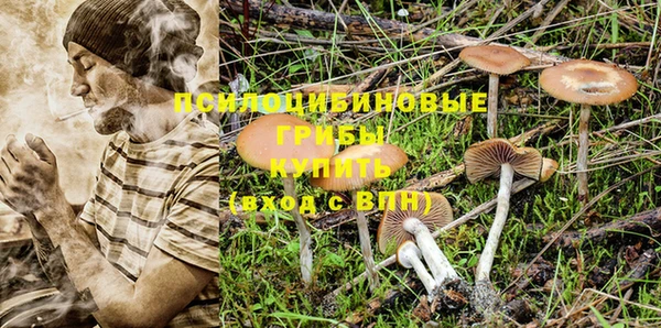 гашиш Инсар
