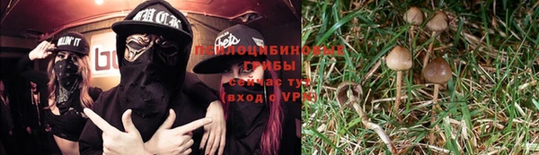mdma Зерноград