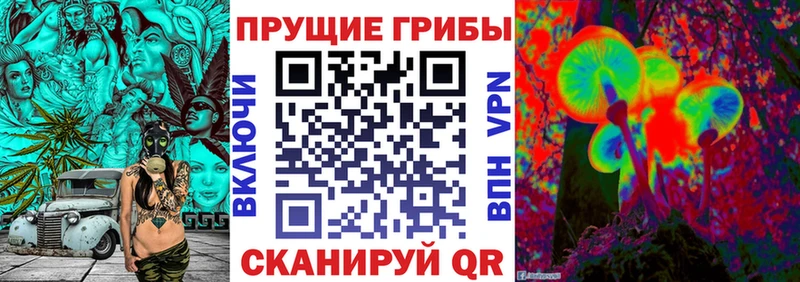 наркотики  Судогда  Галлюциногенные грибы Cubensis 